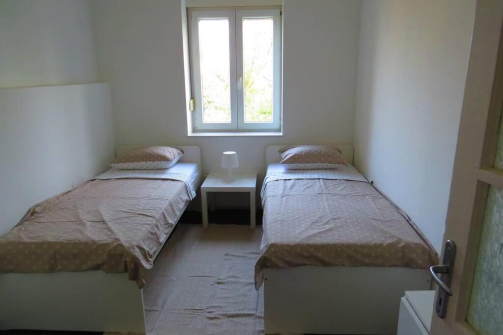 Apartment Lenka Zadar Eksteriør billede
